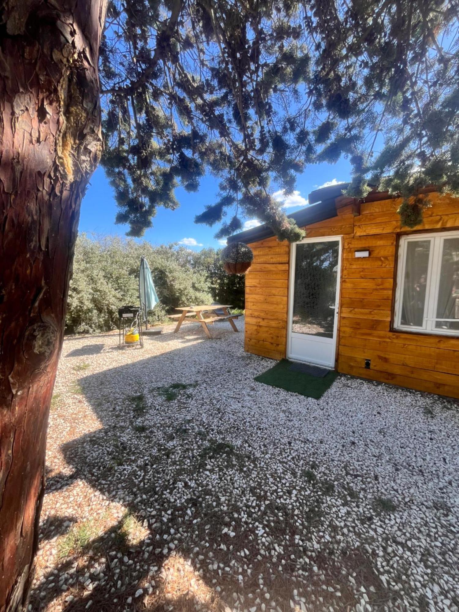 Location T3 Jardin Avec Piscine Villa Mèze Exteriör bild